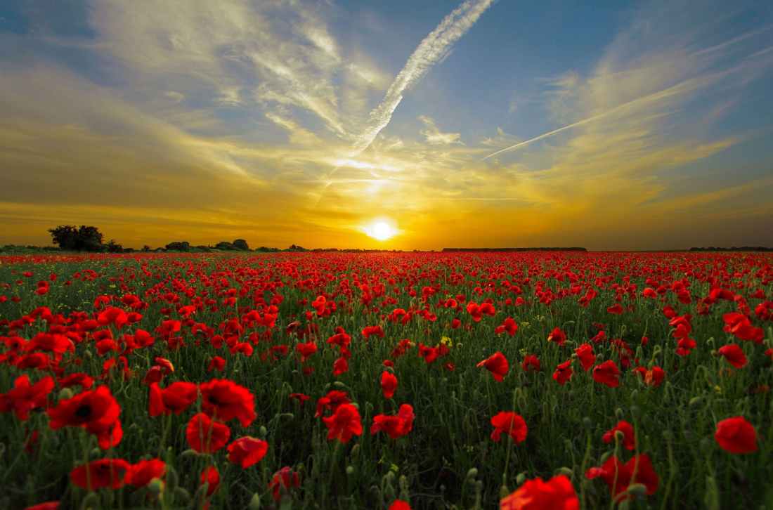 sunset sun horizon priroda